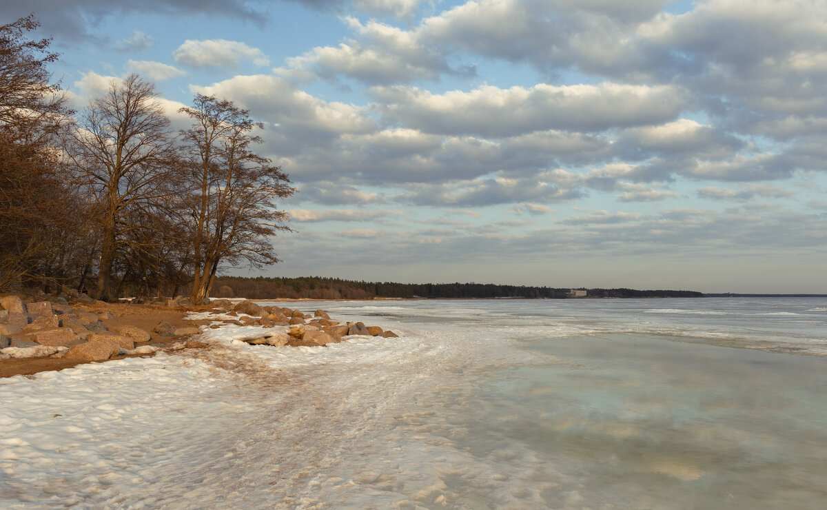 * - Светлана Воробьева