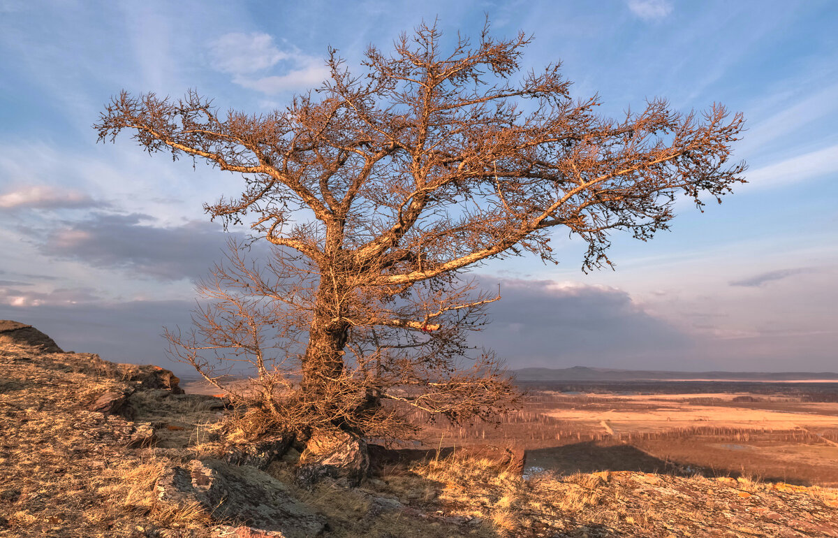 В лучах заката - Марина Фомина.