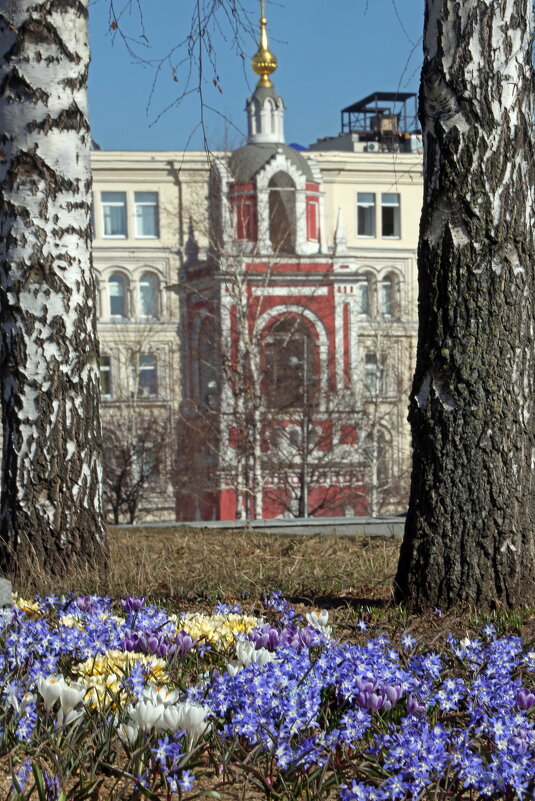 23 марта в Зарядье - Михаил Бибичков