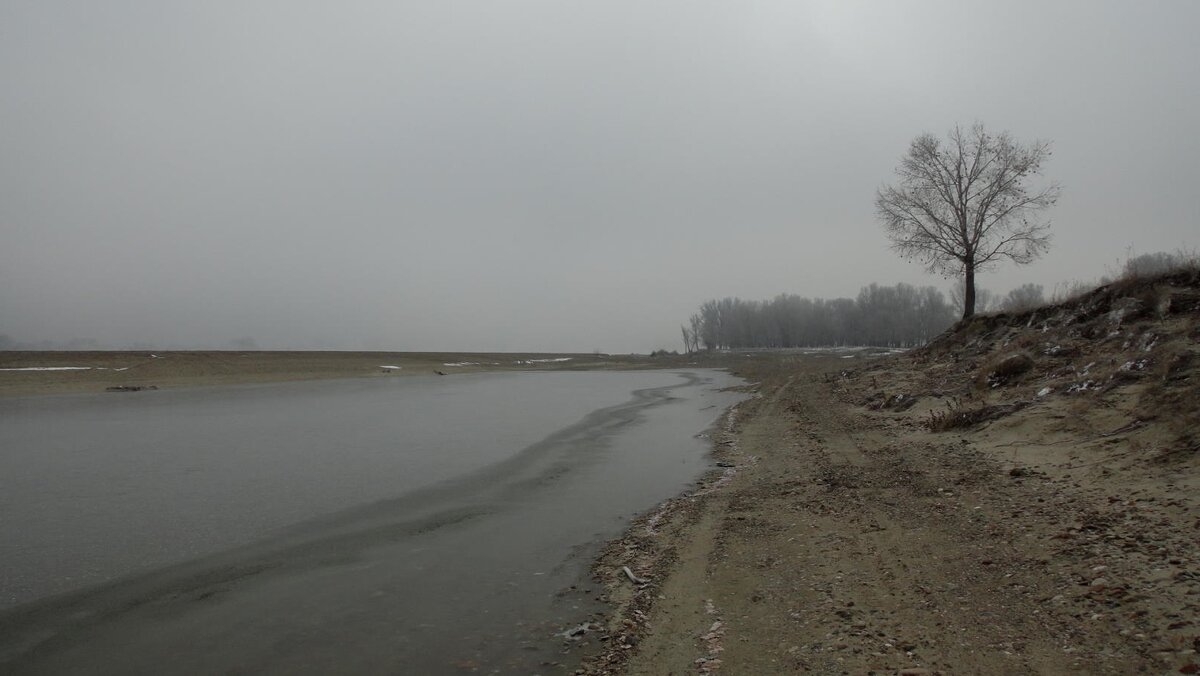 - - Aндрей Антонов