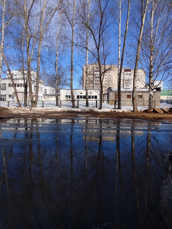 Весенний город - светлана льдокова