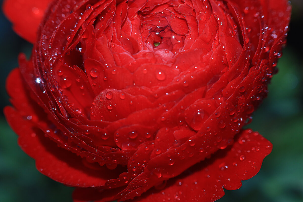 ----------------- - igor G.