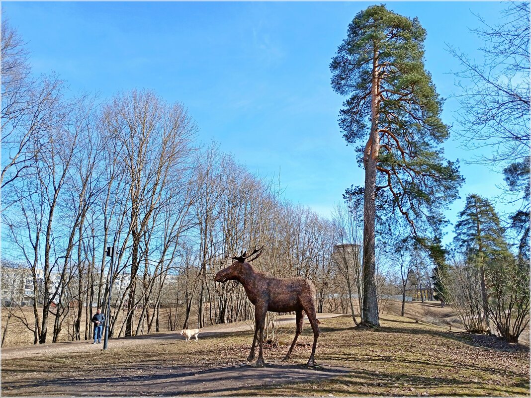 Чкловек, собака, лось :-) - Лия ☼