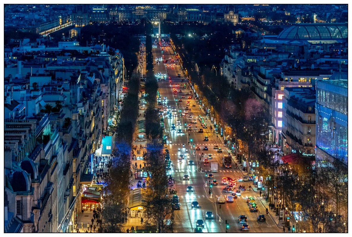 Елисейские поля - Игорь Волков