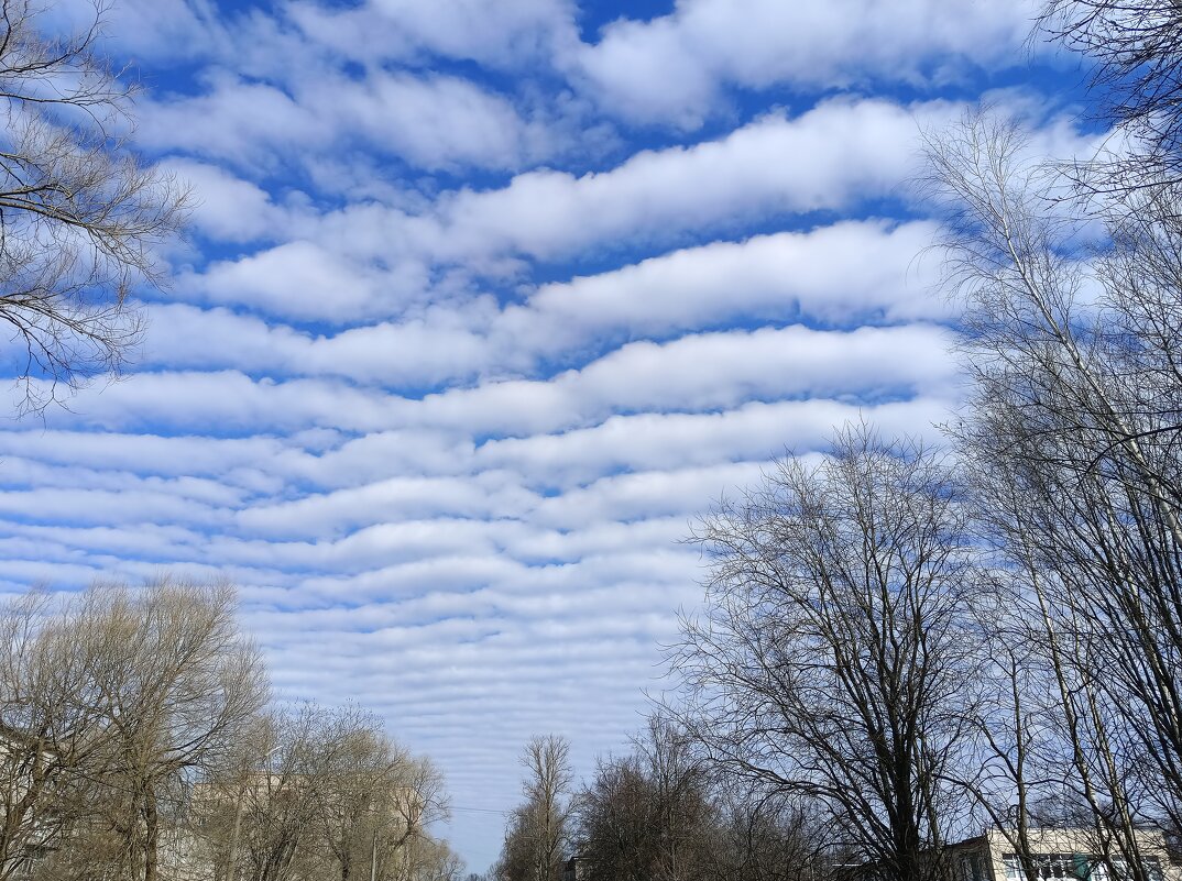 Небесные волны - Мария Васильева