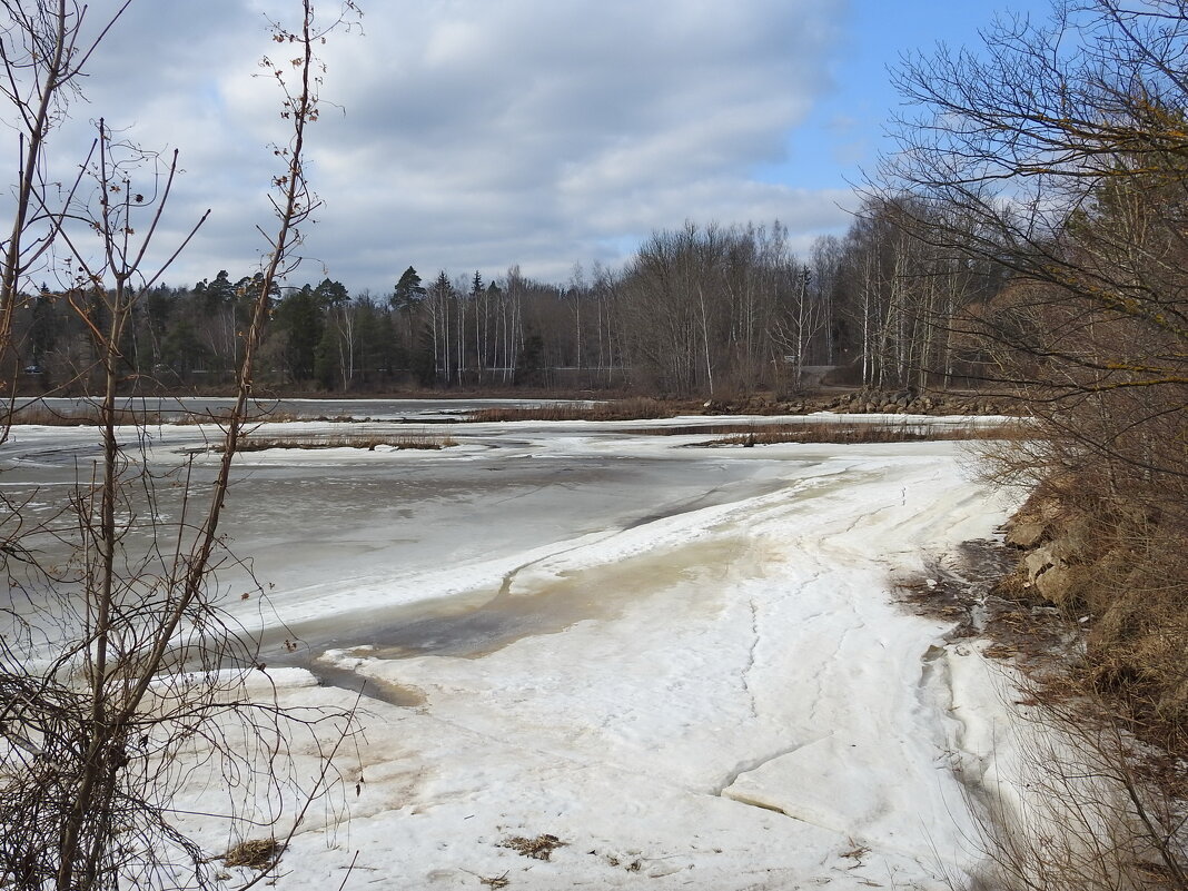 весна - ИННА ПОРОХОВА