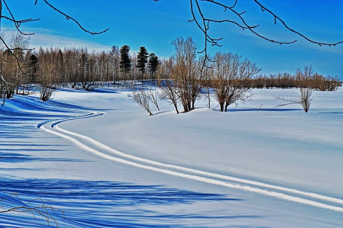 Весенний  день в пойме протоки Чеускина! - Владимир 