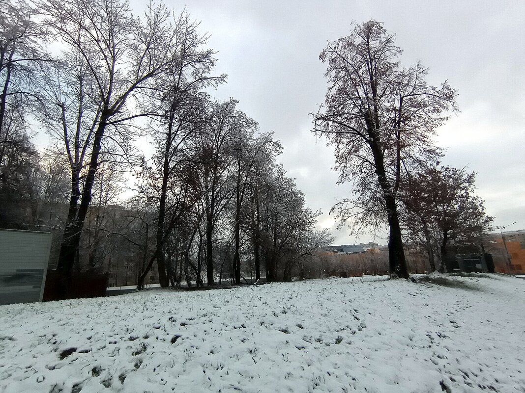 Вспомним зиму. - Владимир Драгунский