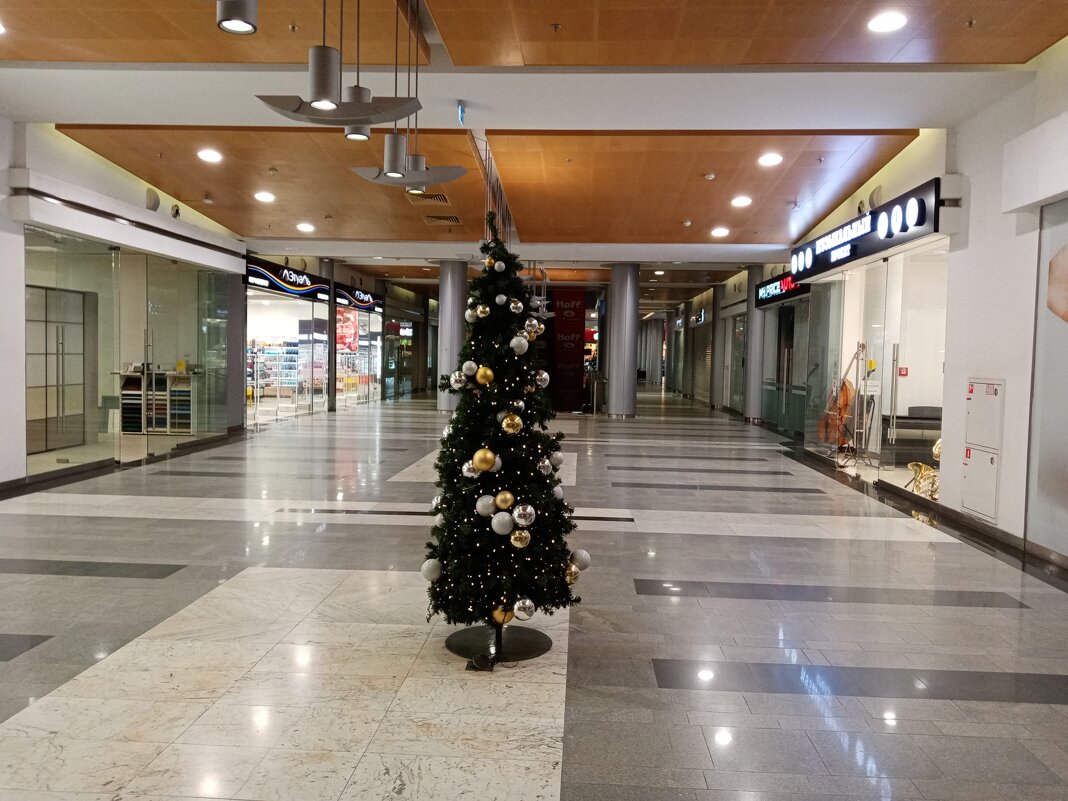 Вспомним зиму. - Владимир Драгунский