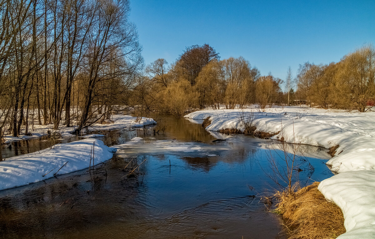 Вешние Воды 5 - Андрей Дворников