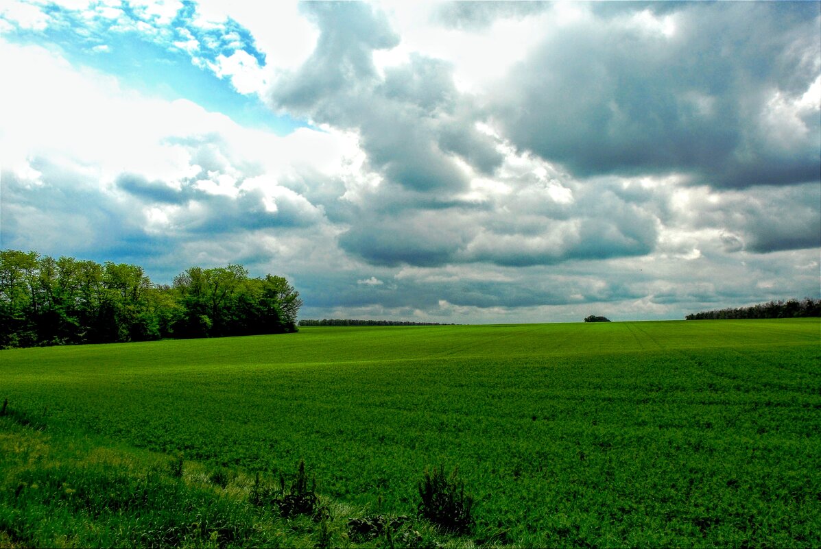 Лето. - Владимир 