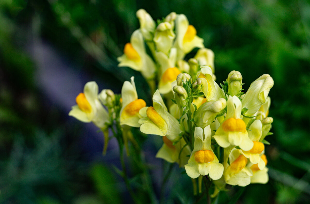 Когда очень нравится Солнце... - Алексей Бабицын