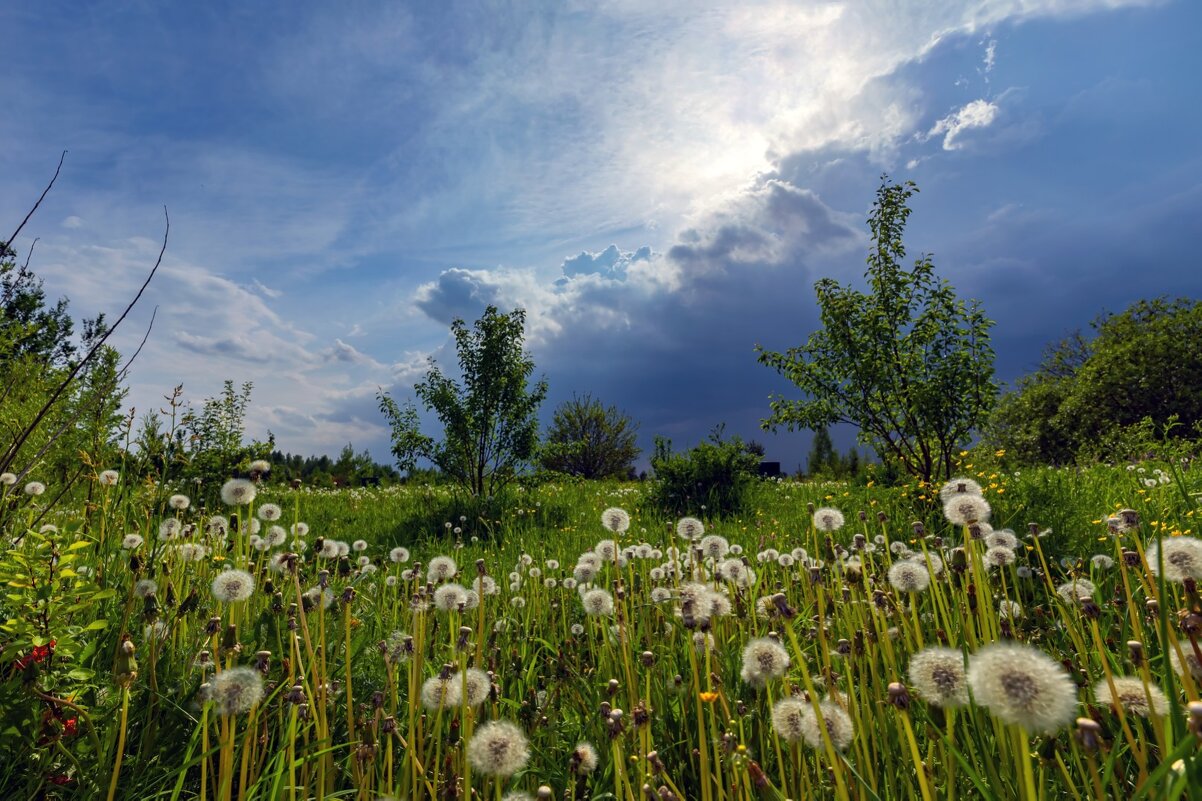 Гроза приближается - Crazy Bee