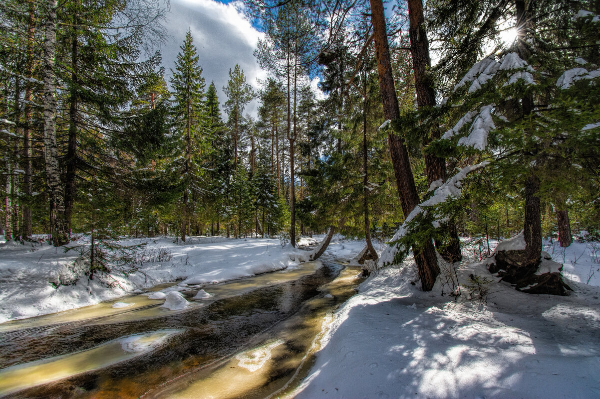 Весенний пейзаж - Vladimbormotov 