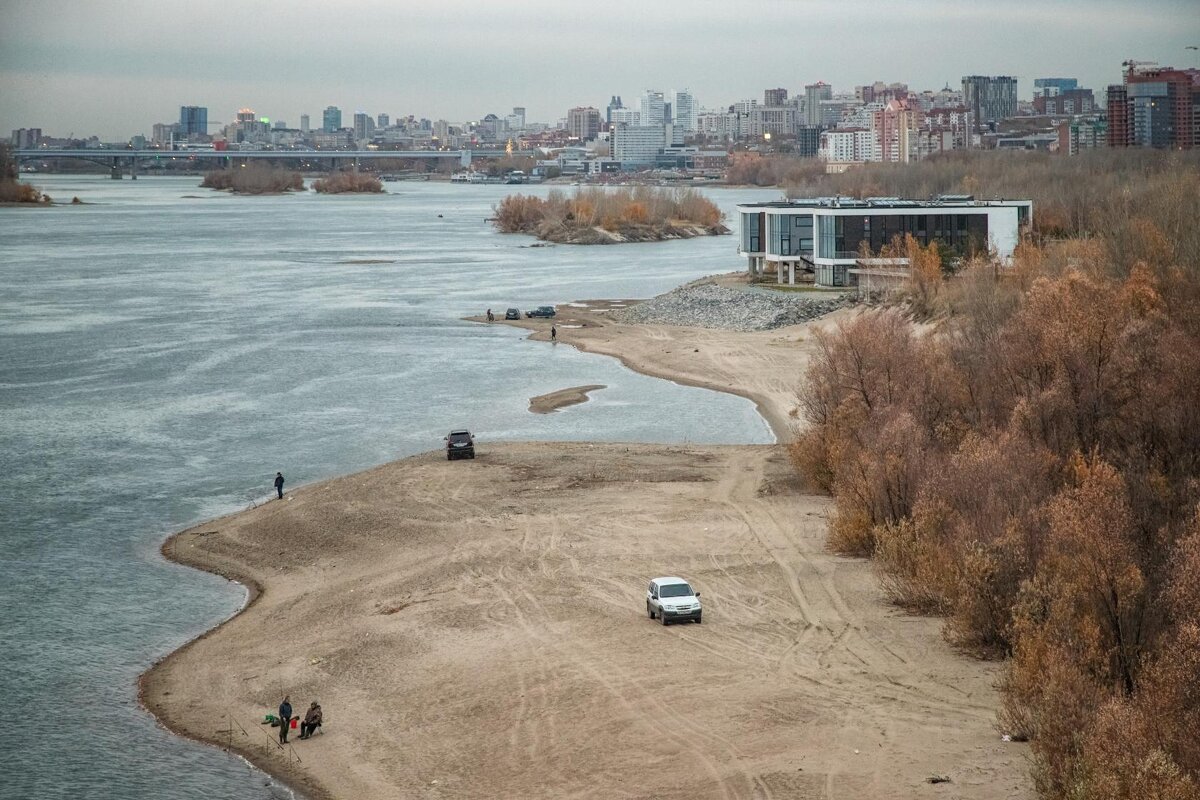 *** - Елена Черненко