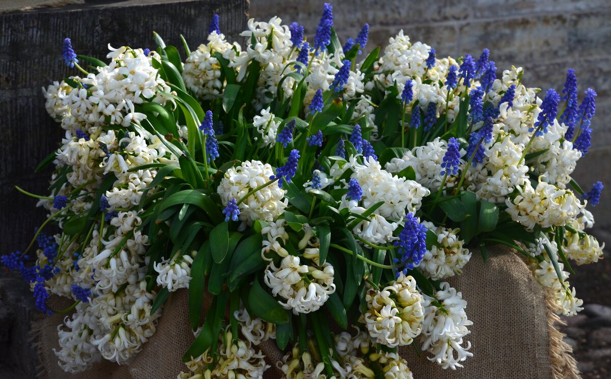 Весенний букет - Таня Фиалка