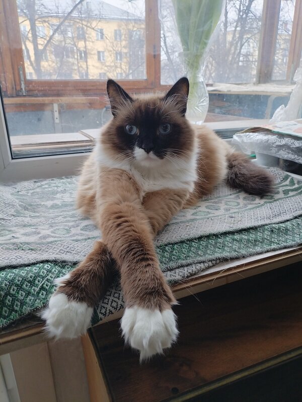 Царь - Galaelina *** Царь - Galaelina ***