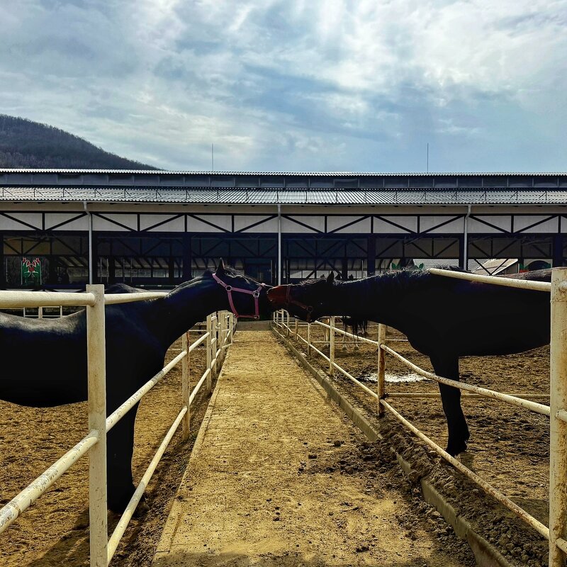 Весенние чувства - Сергей Б. Весенние чувства - Сергей Б.