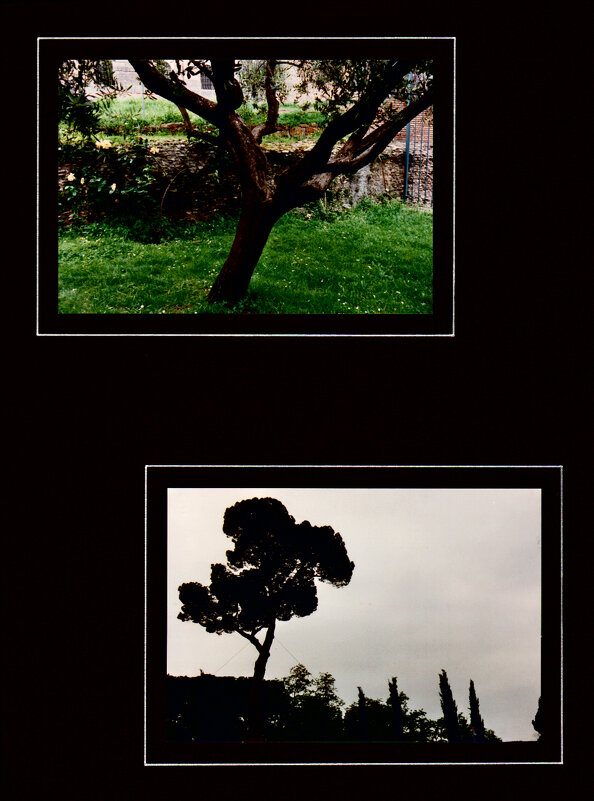 Рим, город и люди - 69 - Алексей Кузнецов