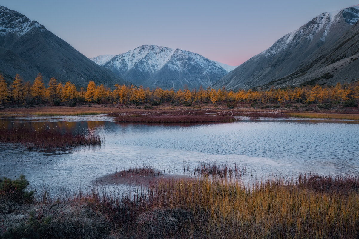 Уж небо осенью дышало - Дмитрий Шишкин