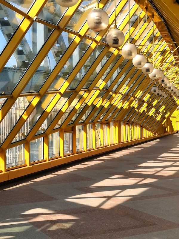 Мост и тени. - Любимова Ольга 