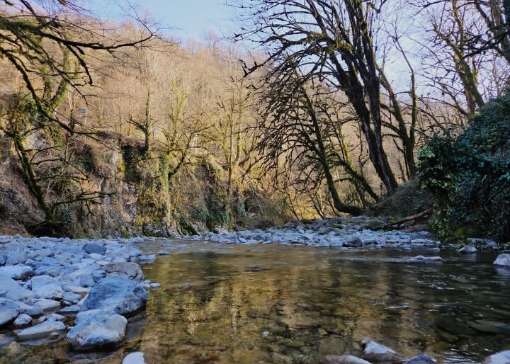 СОЛОХ АУЛ. МАРТ - Tata Wolf