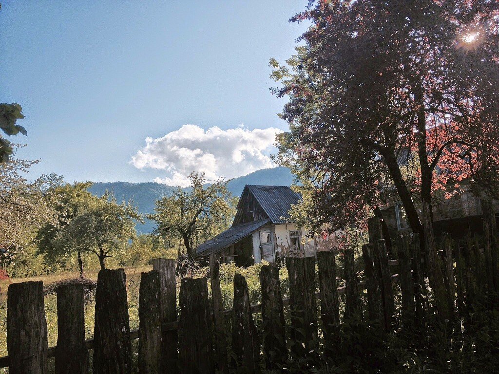 КРАСНАЯ ПОЛЯНА - Tata Wolf