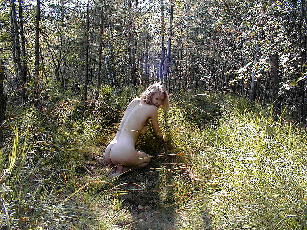 В конце лета, 1999 - Сергей Зотов В конце лета, 1999 - Сергей Зотов