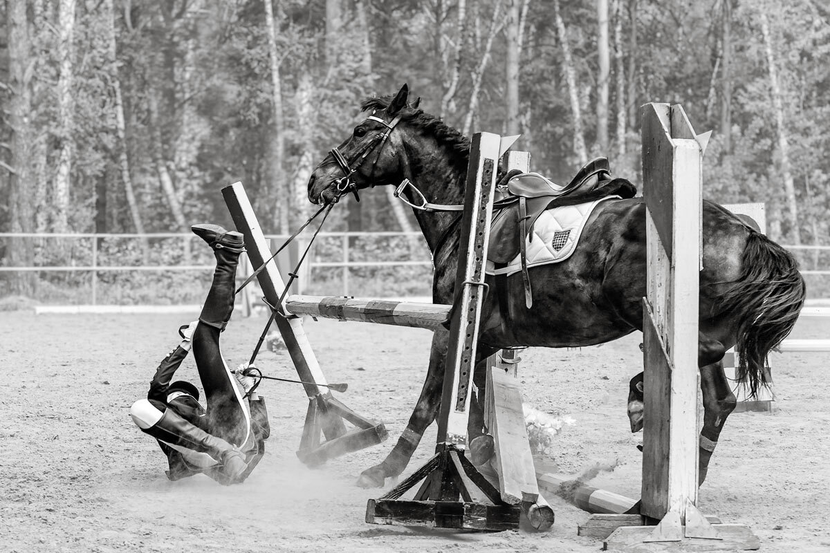 Конкур - SanSan 