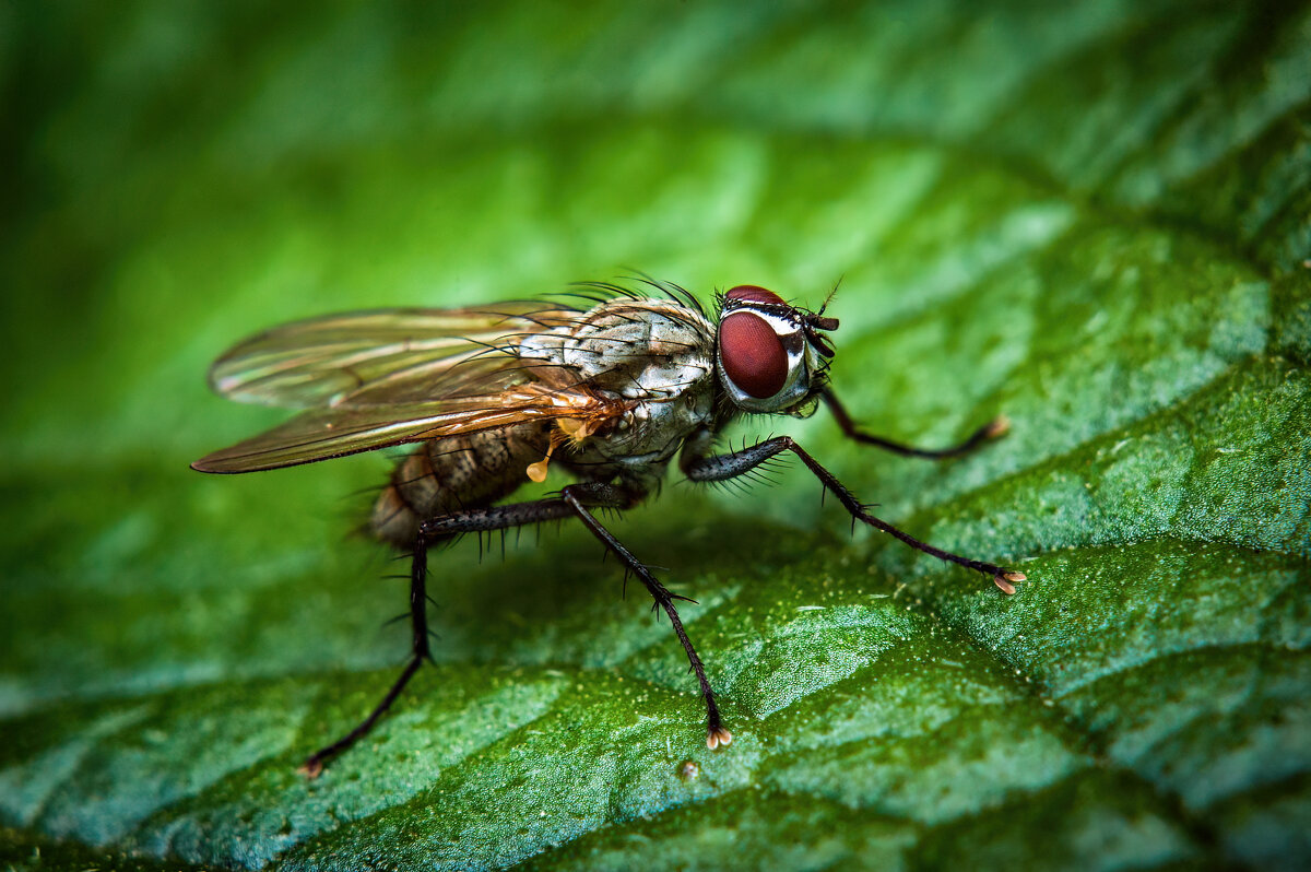 *   *   * - Уже не важно ...