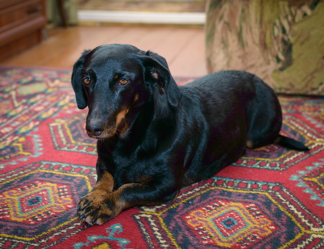 Наша Матильда. - Андрей Андрианов