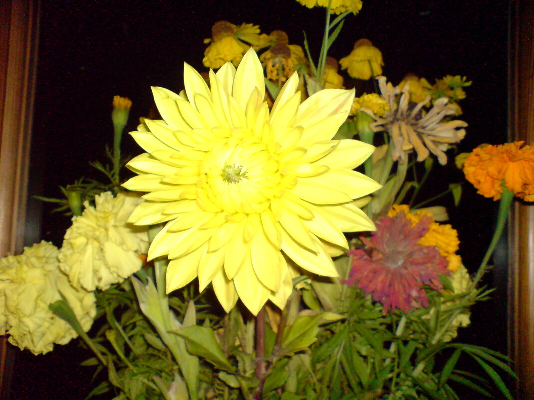 ПРОЩАНИЕ С ЛЕТОМ - Виктор Никитенко