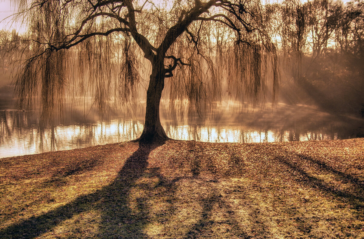 ***** - Андроник Александр 
