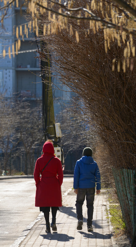 Прогулка. - Константин Белоногов