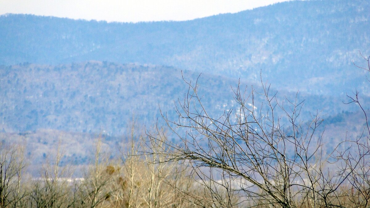 сопки - Наталья Штанулина