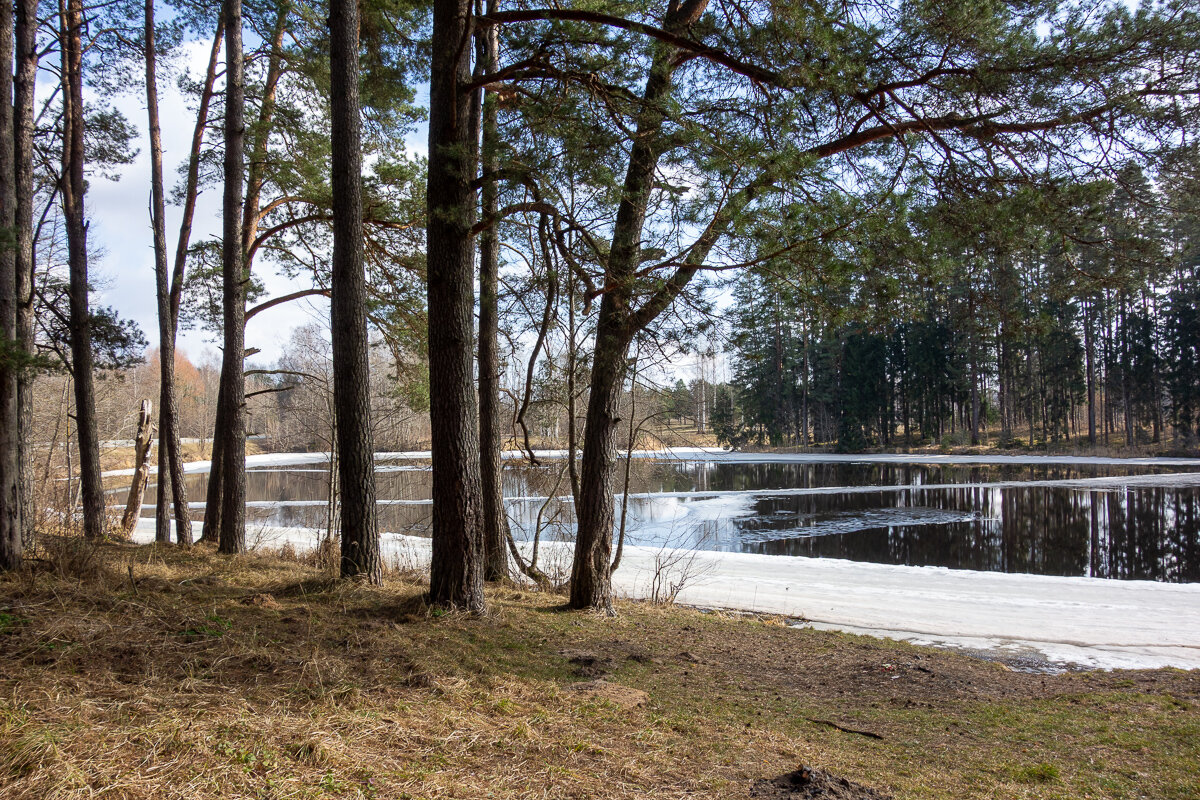 Последний лёд. - Геннадий Порохов