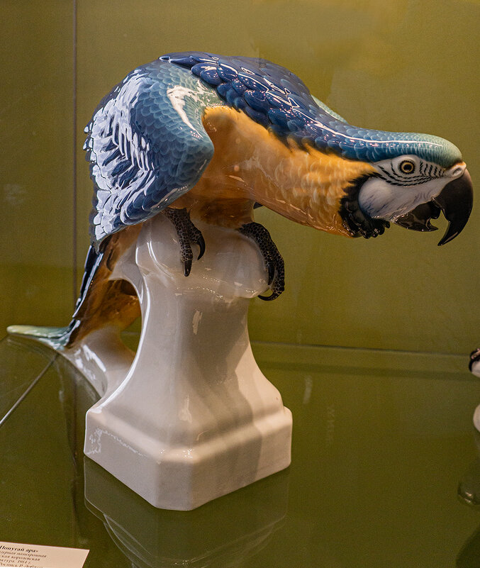 Попугай - Ирина Соловьёва Попугай - Ирина Соловьёва