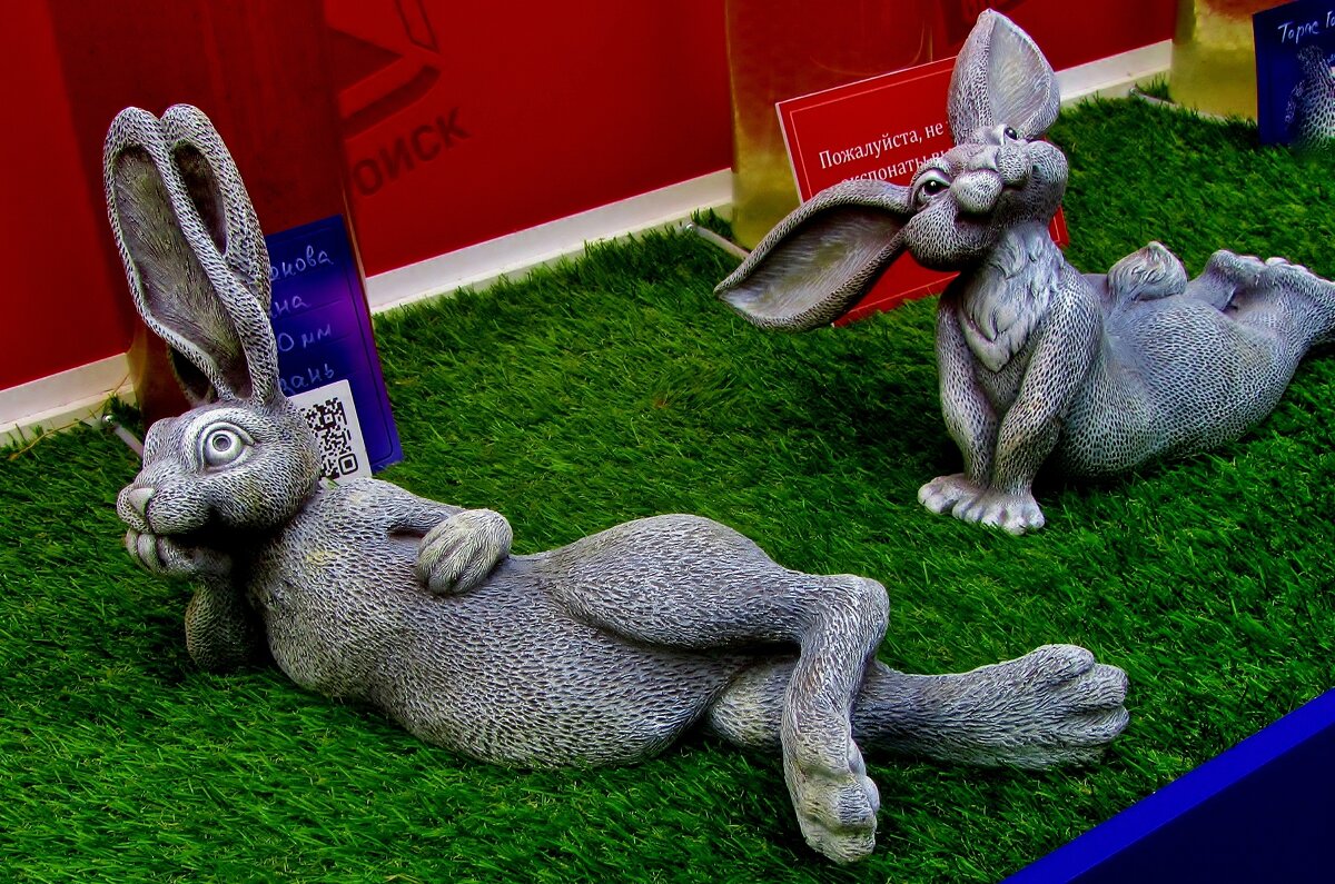 .. зайцы на выставке плодов больших размеров.. - galalog galalog