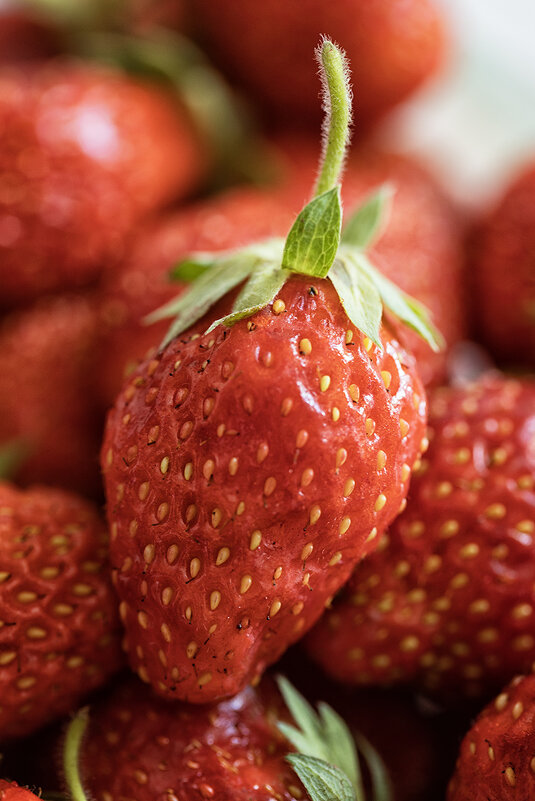 Свежа, вкусна и ароматна... - Лилия *