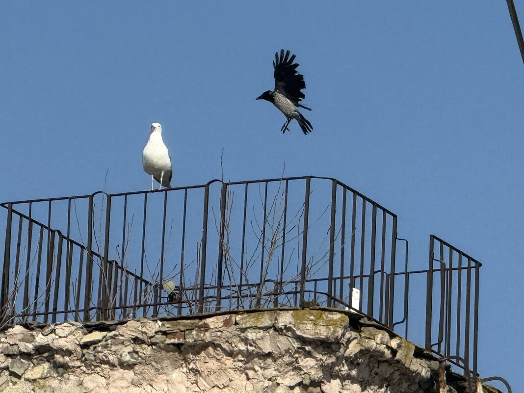 Нас еще судьбы безвестные ждут. - Сергей Б.