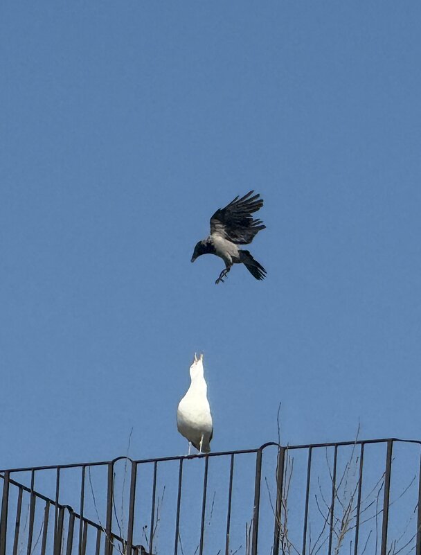 В бой роковой мы вступили с врагами, - Сергей Б.