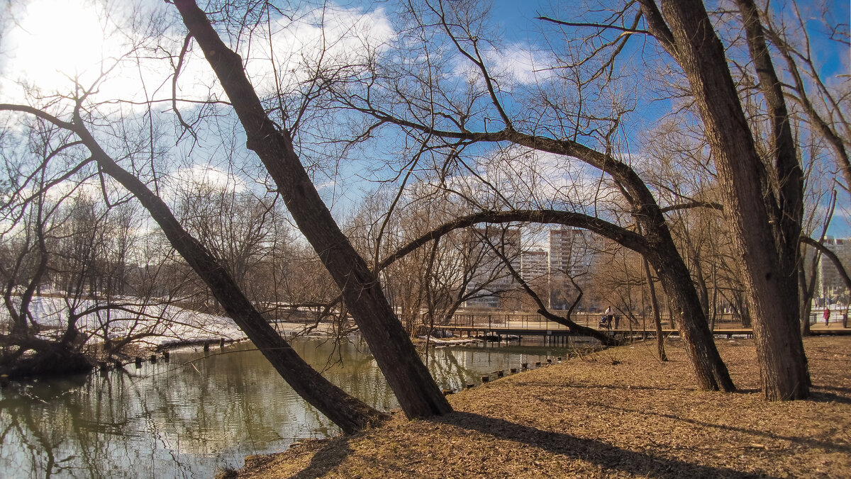 Пргулки в Весеннем Парке - юрий поляков
