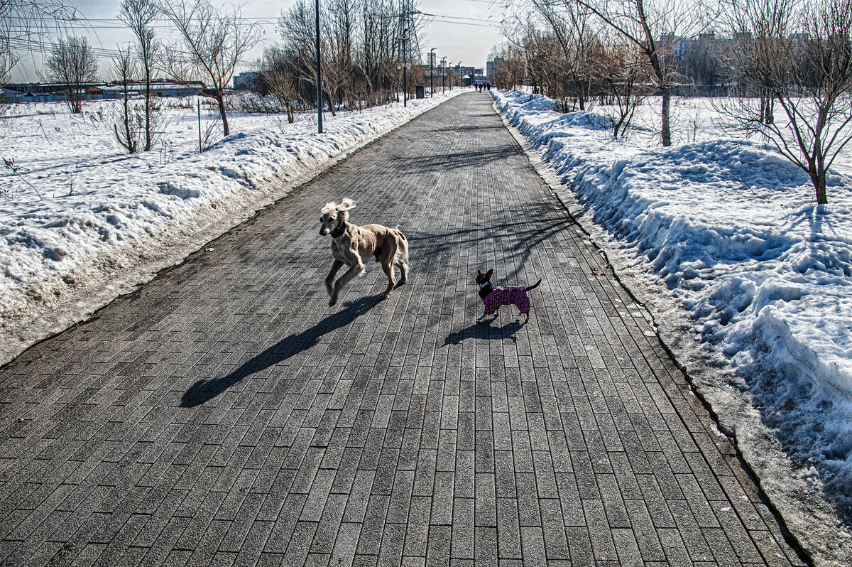 Весна в парке Малевича.. - Юрий Яньков