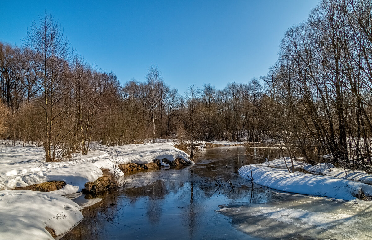 Вешние воды 7 - Андрей Дворников