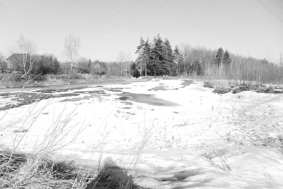 Мечты о ч/б Лейке 69, - Михаил Елочкин