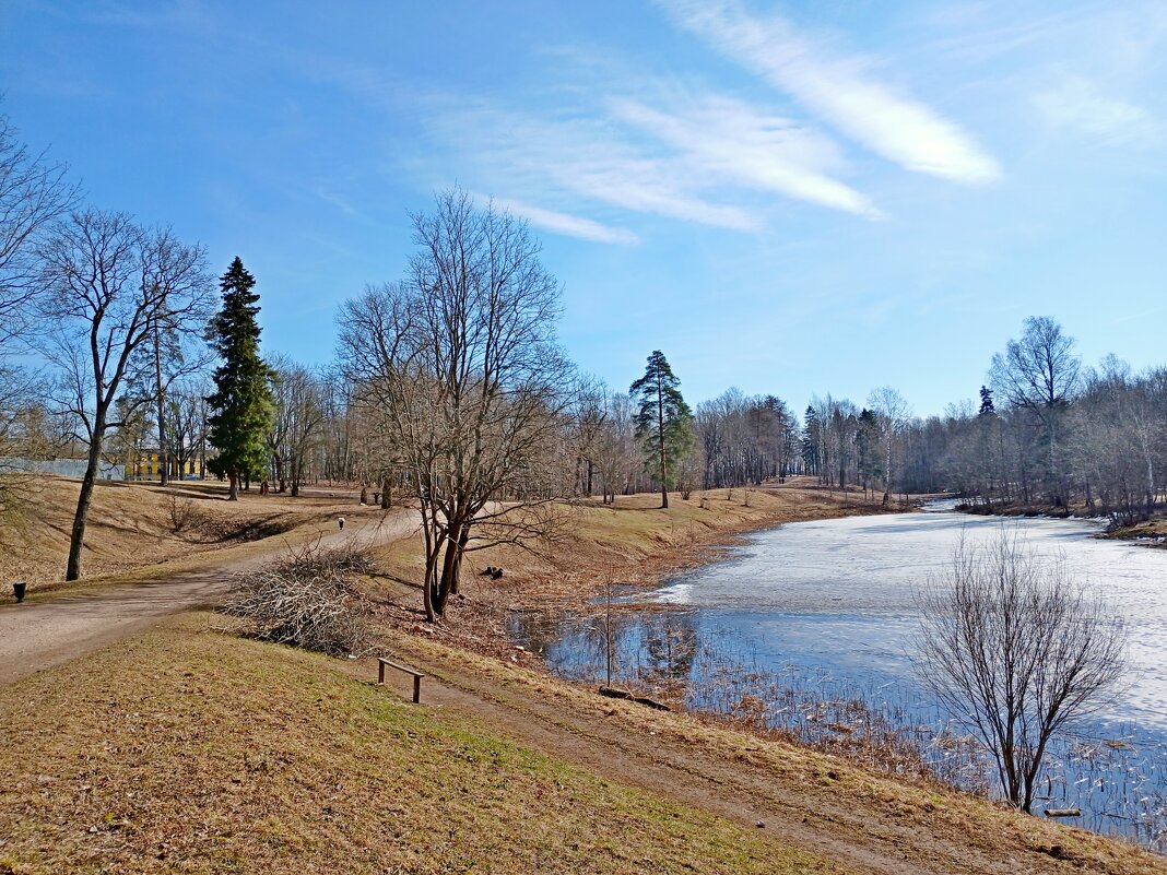 На берегу озера. - Лия ☼