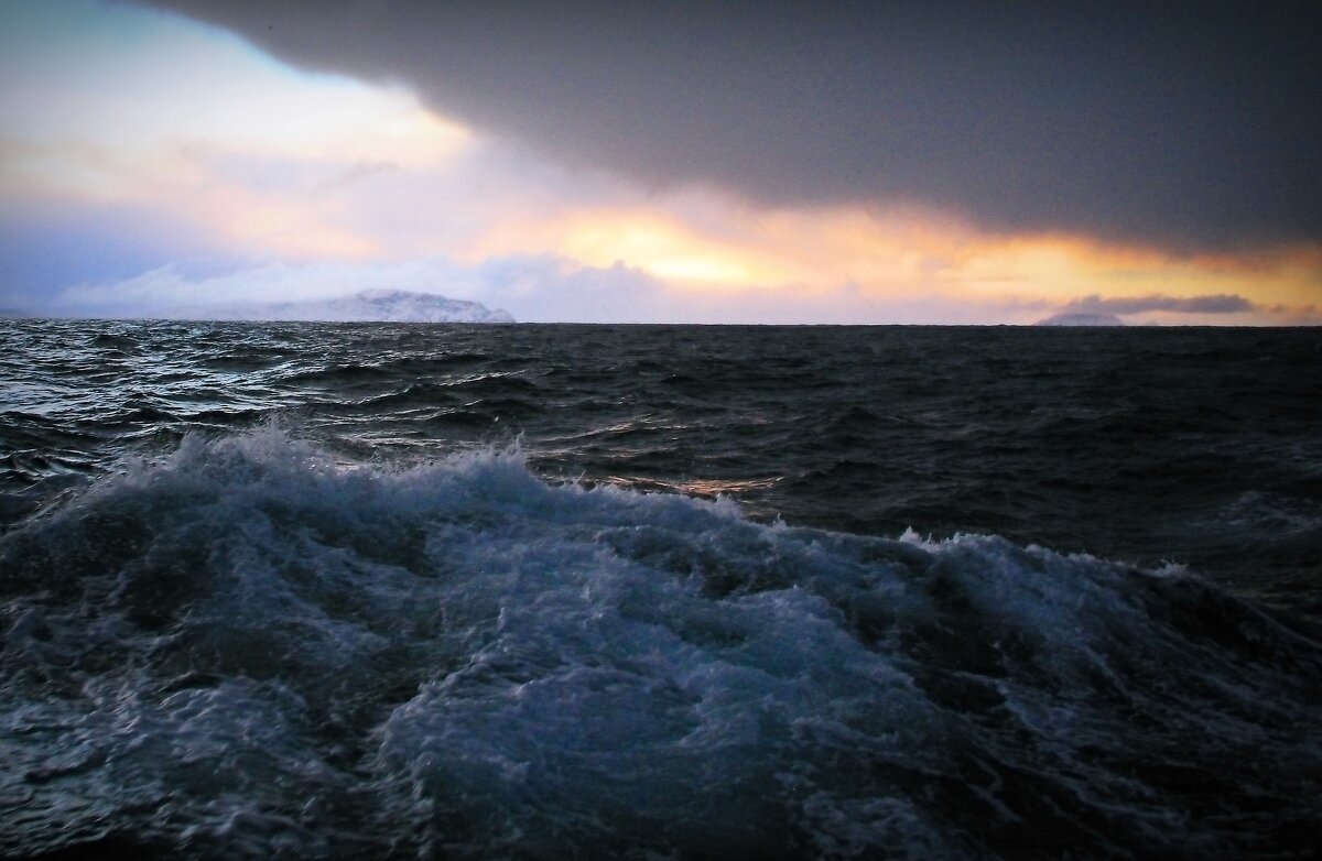 Контрасты природы - В.И 