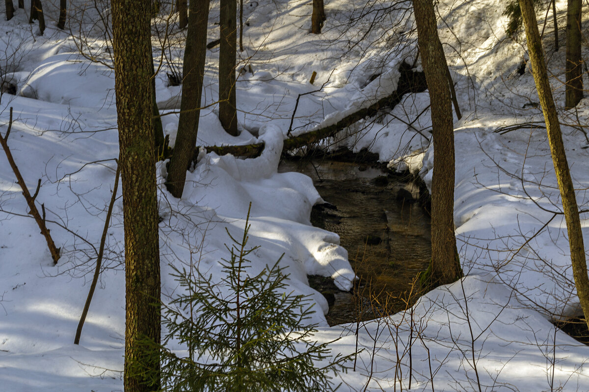 Ручей - Сергей Цветков
