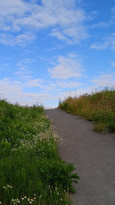 ....... - Елена Шаламова