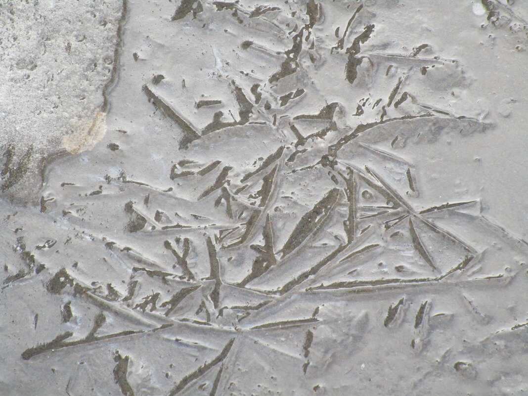 вариации на тему : мятая лужа - Елена Шаламова